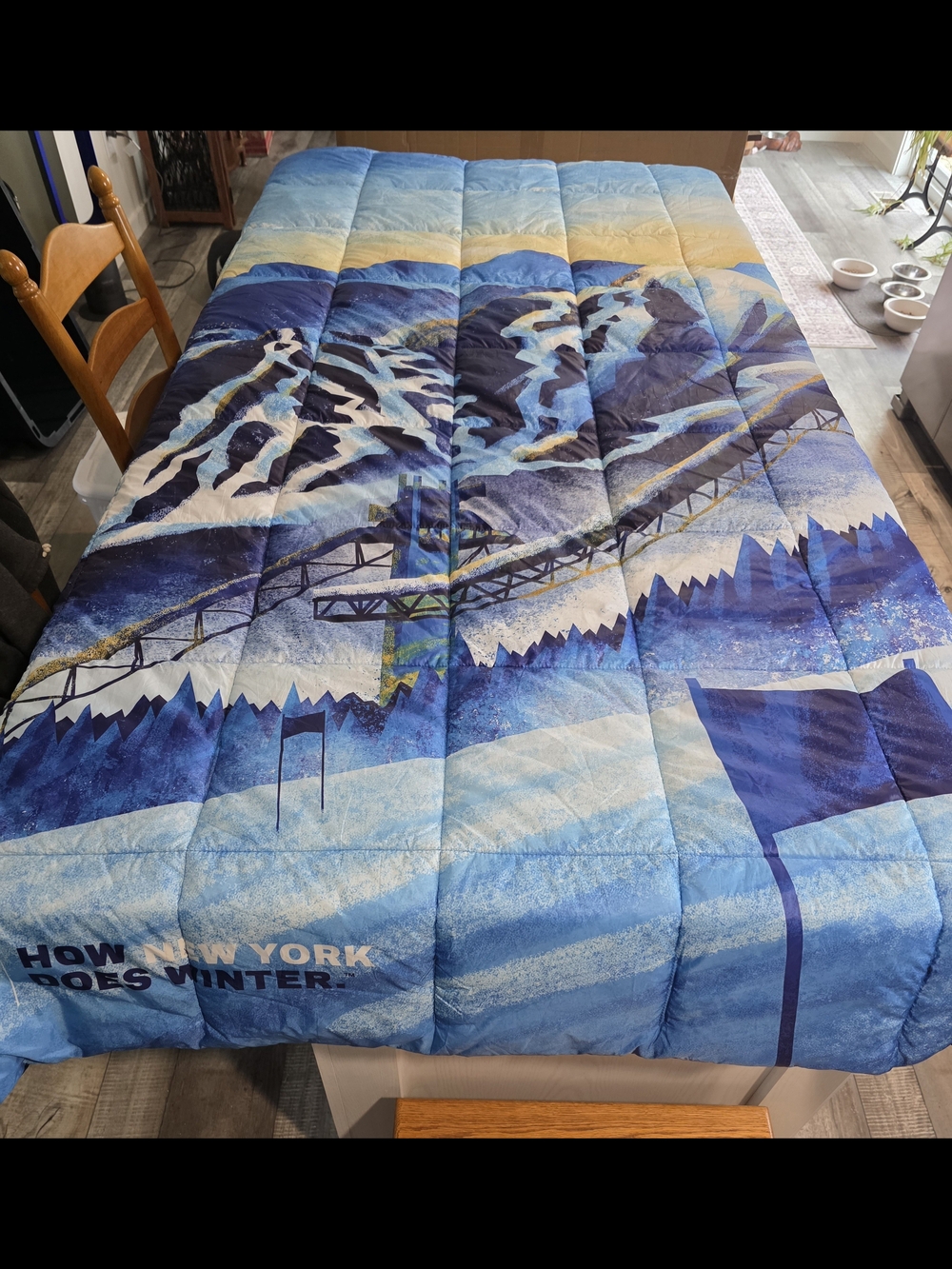 Limited Edition Lake Placid 2023 Twin Comforter